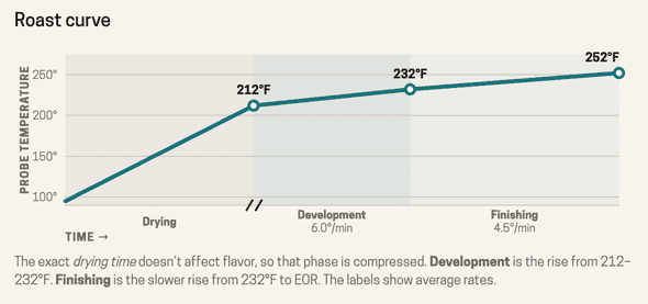 A sample cacao roast curve showing a faster development rise followed by a slower finishing rise